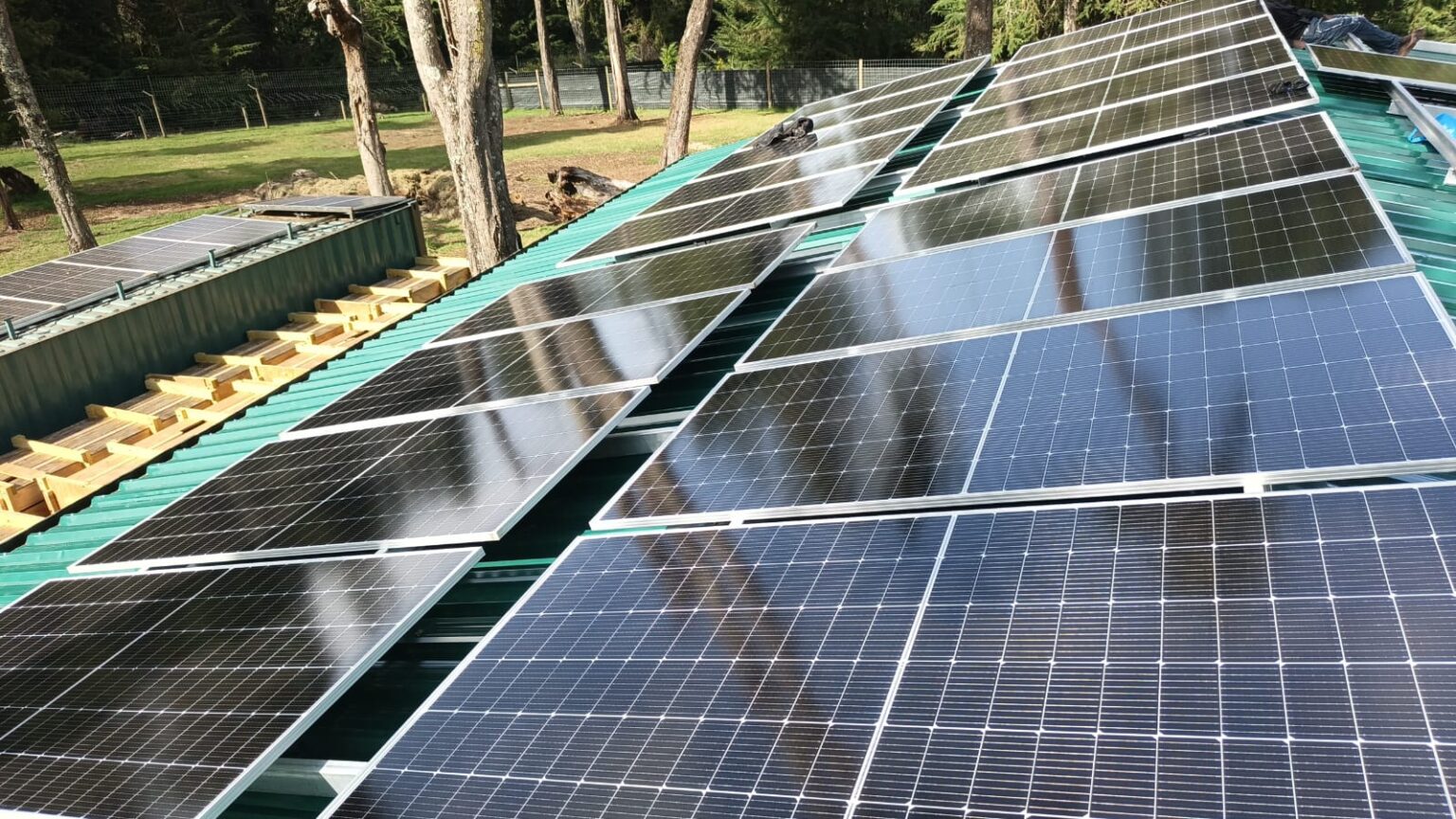 whatsapp image 2026 03 17 at 10.42.45 am (1)